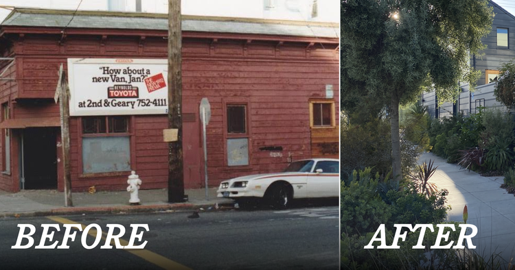 Sidewalk Garden Transformation in San Francisco